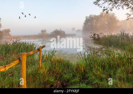 A misty start to the day at Cossington Lakes in Leicestershire. Stock Photo