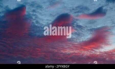 Beautiful fluffy dusk clouds in pink and blue. Stock Photo