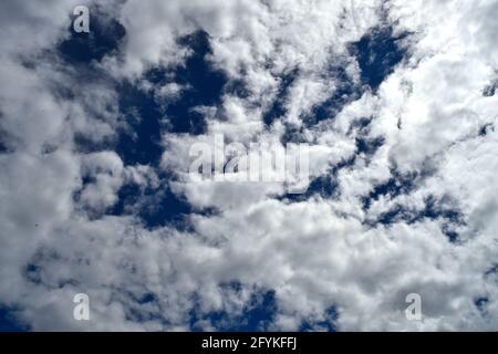 Puffy white clouds on a dark blue sky Stock Photo