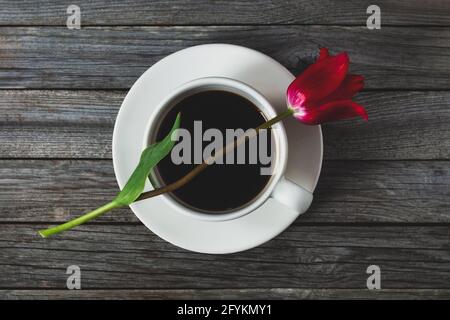 Red tulip flower on top of coffee cup, love coffee concept, romantic dreamy still life Stock Photo