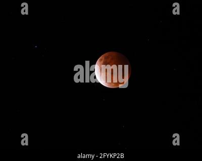 Blood red super moon during the lunar eclipse, and a sprinkling of stars May 2021, large and round in the dark night sky, amazing nature, Australia Stock Photo