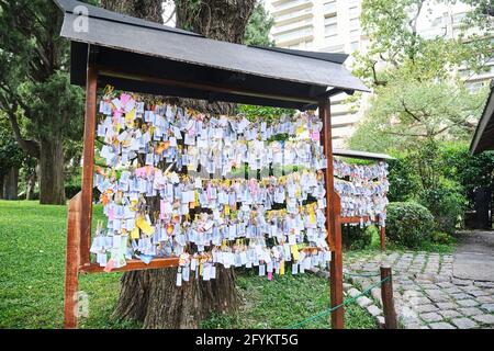 Many strips of paper with wishes written on them, hung in the Japanese garden in Buenos Aires, Argentina, following an Asian tradition. Stock Photo
