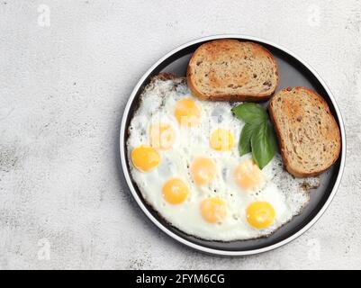 Fried quail eggs on a round plate on a light gray background. Top view, flat lay Stock Photo