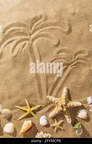 Palm trees painted on the sand and various seashells on a sunny day, summer background. Stock Photo