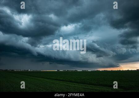 Approaching shelf cloud of a thunderstorm in the evening light Stock Photo
