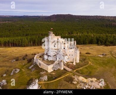 View from drone of ruined medieval fortified Mirow Castle located in Krakow-Czestochowa Upland on spring day, Poland Stock Photo
