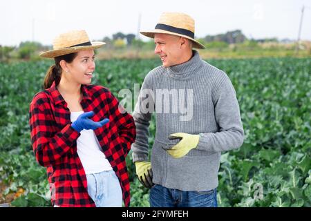 Man and woman farm workers talking at field, consulting and discussing working process Stock Photo