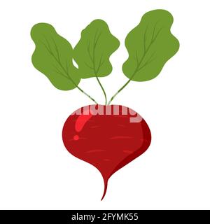 Beetroot healthy organic nutrition product. Vector cartoon flat trendy illustration hand drawn isolated Stock Vector