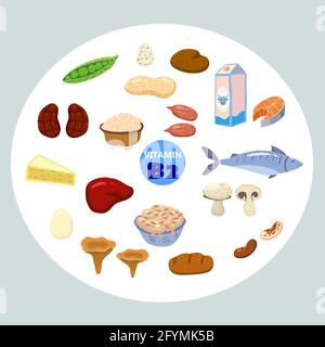 Set of Vitamin B2 origin natural sources. Healthy diary rich food containing riboflavin, cheese, mushrooms, nuts, fish. Organic diet products, natural Stock Vector