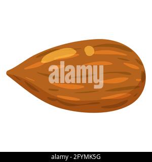 Almonds nuts healthy nutrition product without shell. Vector hand draw flat trendy style white background Stock Vector