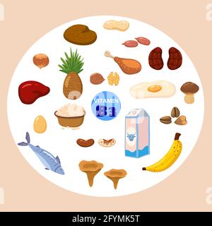 Set of Vitamin B3 origin natural sources. Healthy diary rich food containing niacin, avocado, mushrooms, nuts, fish, liver, banana, kidneys. Organic Stock Vector