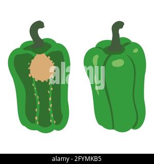 Bell Pepper green healthy organic nutrition product, whole, half cut. Vector cartoon flat trendy illustration hand drawn isolated Stock Vector