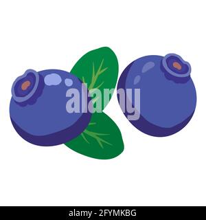 Blueberries, healthy organic nutrition product, green leaves. Vector cartoon flat trendy illustration hand drawn isolated Stock Vector