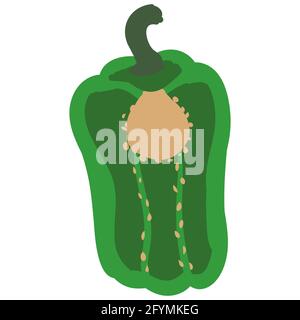 Bell Pepper green healthy organic nutrition product, half cut. Vector cartoon flat trendy illustration hand drawn isolated Stock Vector