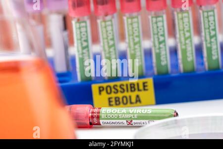 Blood sample from Ebola patient, positive result, conceptual image Stock Photo