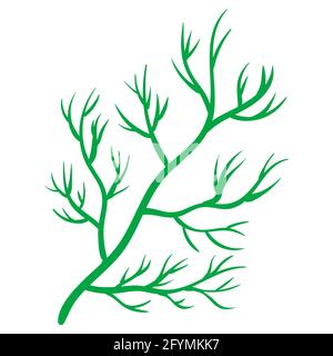 Dill greenery, natural healthy organic nutrition product, citrus. Vector doodle cartoon flat trendy illustration hand drawn isolated Stock Vector