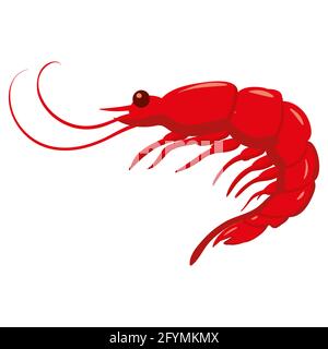 Shrimp, natural healthy organic nutrition product, prawn. Vector doodle cartoon flat trendy illustration hand drawn isolated Stock Vector