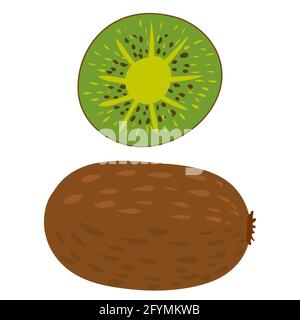 Kiwi fruit whole and slice, natural healthy organic nutrition product. Vector doodle cartoon flat trendy illustration hand drawn isolated Stock Vector