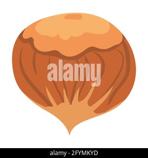 Hazelnut, natural healthy organic nutrition product, filbert. Vector doodle cartoon flat trendy illustration hand drawn isolated Stock Vector
