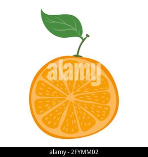 Orange half cut, natural healthy organic nutrition product, citrus. Vector doodle cartoon flat trendy illustration hand drawn isolated Stock Vector