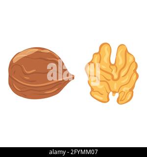Walnut, natural healthy organic nutrition product, kernel. Vector doodle cartoon flat trendy illustration hand drawn isolated Stock Vector