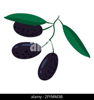 Olive branch, natural healthy organic nutrition product. Vector doodle cartoon flat trendy illustration hand drawn isolated Stock Vector