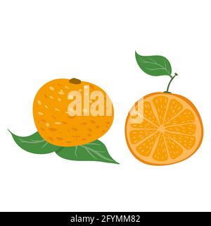 Orange whole, half cut, natural healthy organic nutrition product, citrus. Vector doodle cartoon flat trendy illustration hand drawn isolated Stock Vector