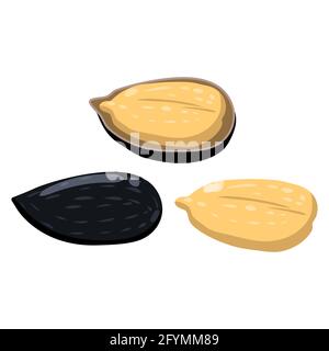 Sunflower seeds, whole and peeled, natural healthy organic nutrition product. Vector doodle cartoon flat trendy illustration hand drawn isolated Stock Vector