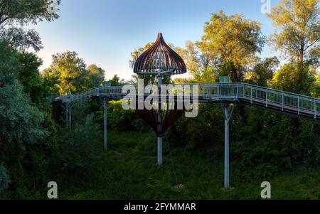 Canopy walkway in Mako city. Amazing education trail in Maros river's floodplain. include a  lookout tower and onion shape wood umbrella. The onion is