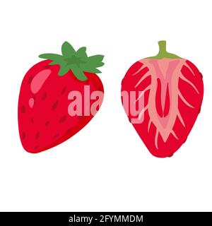 Strawberry whole and half cut natural healthy organic nutrition product. Vector doodle cartoon flat trendy illustration hand drawn isolated Stock Vector