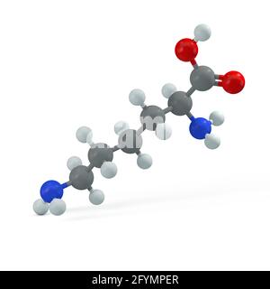 Lysine molecule, illustration Stock Photo