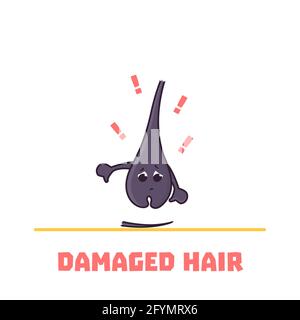 Damaged hair, conceptual illustration Stock Photo
