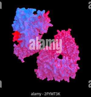 SARS antibody, illustration Stock Photo
