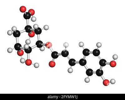 Chlorogenic acid herbal molecule, illustration Stock Photo