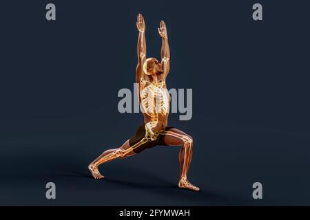 Man in warrior 1 yoga pose, illustration Stock Photo
