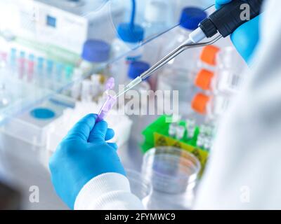 DNA research Stock Photo