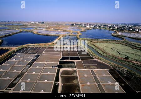 LOIRE-ATLANTIQUE (44) GUERANDE PENINSULA, AERIAL VIEW OF SALT MARSHES Stock Photo