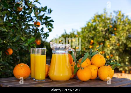 Glass jug and glasses with fresh orange juice on wooden table with oranges in an outdoor setting during summer Stock Photo