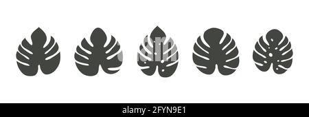 Monstera icon. Tropical leaves collection. Exotic jungle leaf. Monstera Deliciosa plants set. Stock Vector