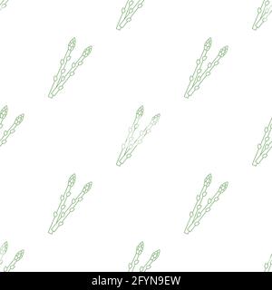 Asparagus brunch seamless pattern. Sparrow grass line icon. Vector illustration isolated on white Stock Vector