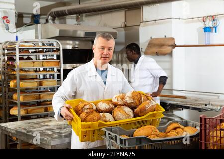 Experienced baker working in small bakery, carrying fresh baked bread in box Stock Photo