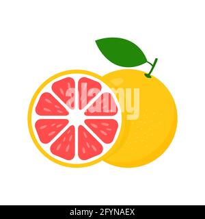 Grapefruit fresh slices icon set. Healthy food symbol. Citrus vitamin C. Vector illustration Stock Vector