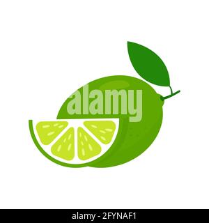 Lime fresh slices set. Cut limes fruit slice for lemonade juice. Vitamin C. Citrus icons vector Stock Vector
