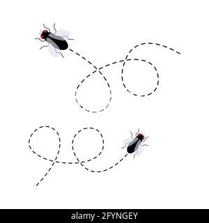 Flies icon set. Fly insect flying on a dotted route. Vector illustration isolated on the white background. Stock Vector