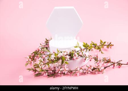 Pink flowers on a pink paper background - a minimal scene with geometric shapes for advertising cosmetics. Stock Photo