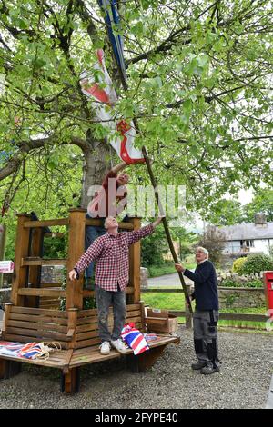 Aston on Clun, Shropshire, Uk. May 29th 2021. Residents of the south Shropshire village of Aston on Clun preparing the famous Black Poplar tree for Arbor Day. This poplar known as the Arbor Tree becomes the focus of attention when villagers come together for a unique tree dressing ceremony. On 'Oak Apple Day'  (May 29th) the tree is freshly dressed with flags, which then remain on the tree throughout the year and on the last Sunday in May the villagers gather around the tree to celebrate Arbor Day. PICTURE BY DAVE BAGNALL Stock Photo