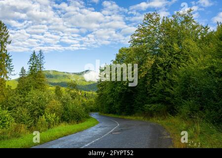 country road through forest in mountains. beautiful fresh morning in early autumn. path winding in to the distance. wet asphalt. cloud on the distant Stock Photo