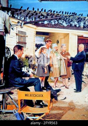 ALFRED HITCHCOCK (1899-1980 English film producer,director and scriptwriter on the set of his 1963 Universal Pictures film 'The Birds' with Rod Taylor in white shirt and Tippi Hedren in fur coat Stock Photo