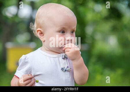 child eats green cherry berries in summer.portrait of todler against a backdrop of green trees. Danger of poisoning with unwashed fruit Stock Photo