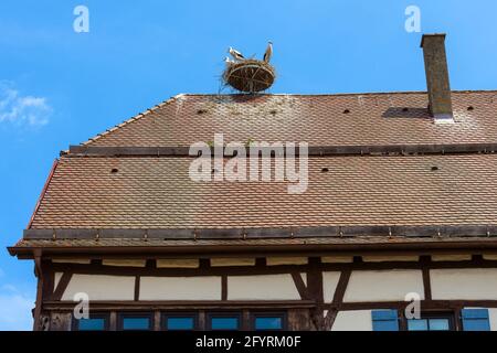 Storks on nest on house roof, three white storks against blue sky. View of wild stork family living in village or city. Stock Photo